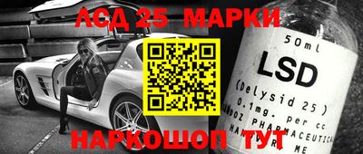 прущие грибы Ирбит