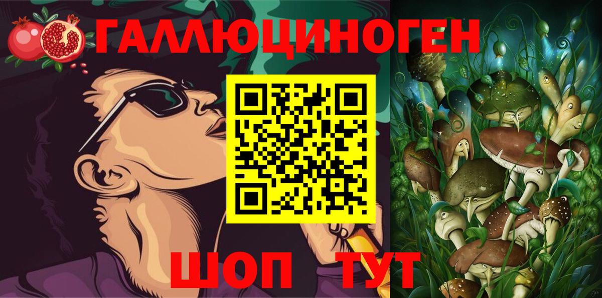 Галлюциногенные грибы Cubensis  Вход с VPN  Заводоуковск 