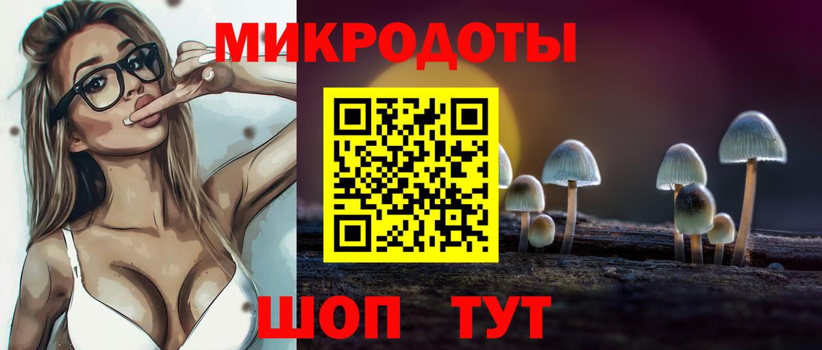 Галлюциногенные грибы Psilocybe Заводоуковск